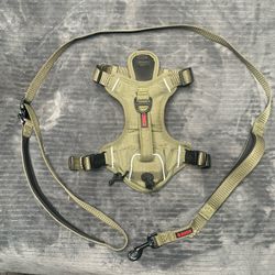 Dog Harness With Leash 