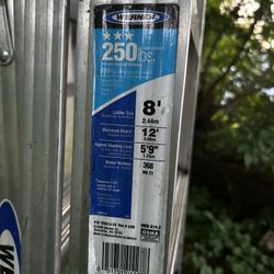 Werner 6ft/8ft Ladder