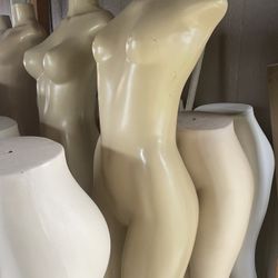 Manikin 