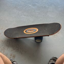 Bongo Board