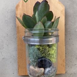 Hanging Wall Planters