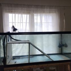 Turtle Aquarium 100gl+ Fluval Fx6 Accesories