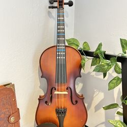 Violin