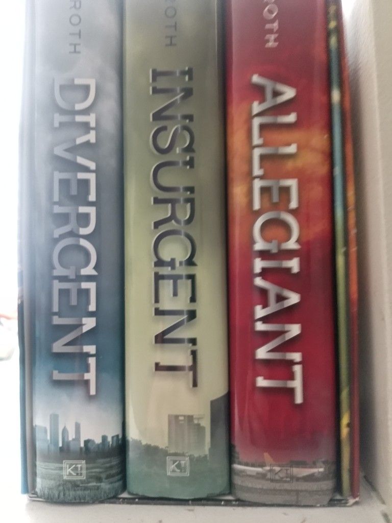 The Divergent Series