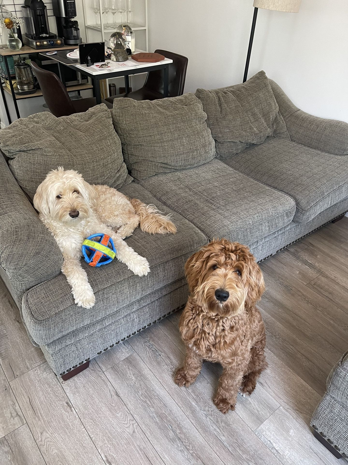 Couch