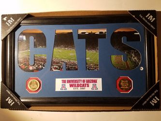 Arizona Wildcats Silhouette Panoramic