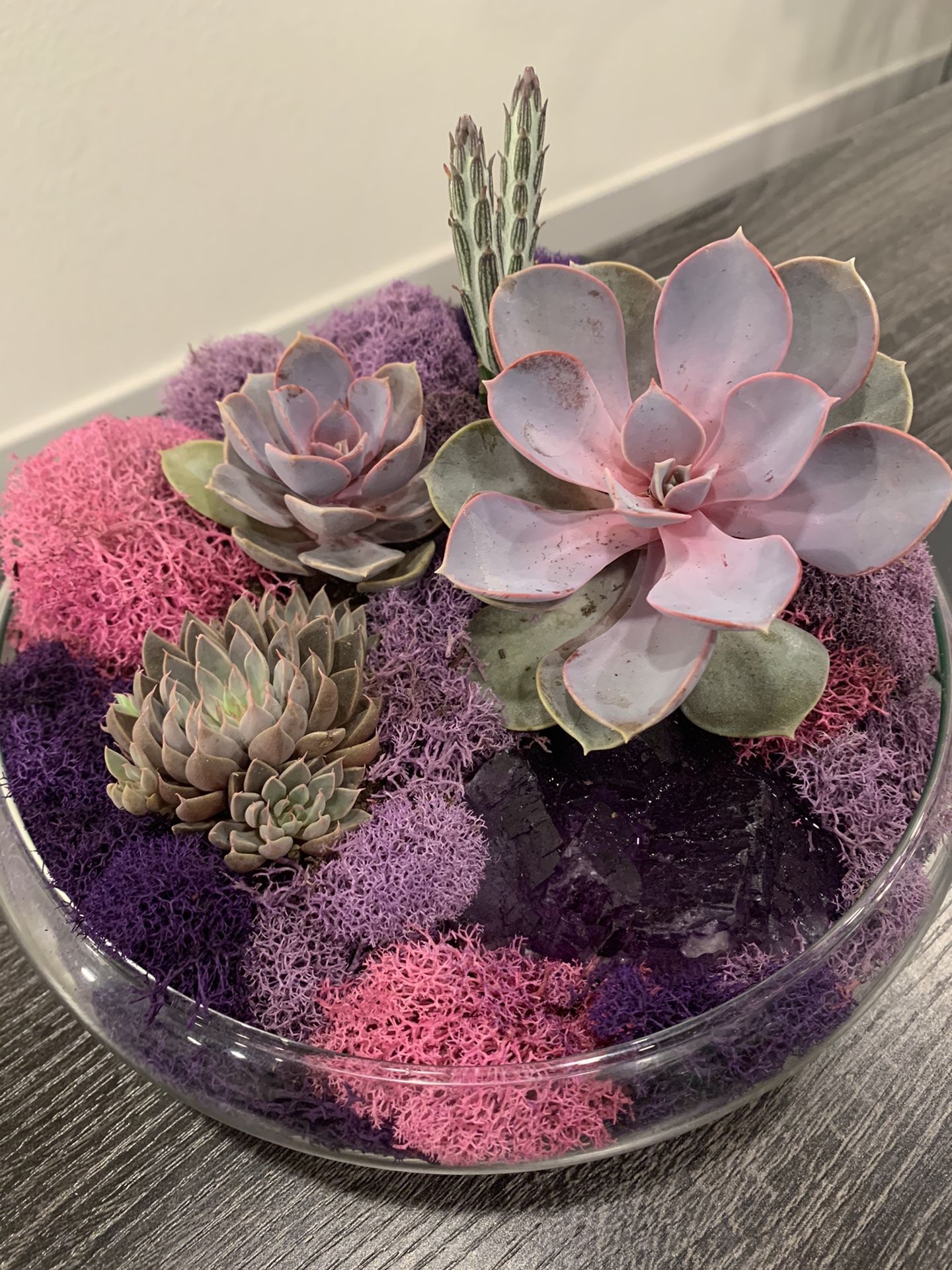 Amethyst Terrarium Succulent Cactus Pink Purple Crystals Natural Plants Pot