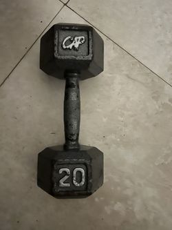 1 Single 20 Pound Dumbell