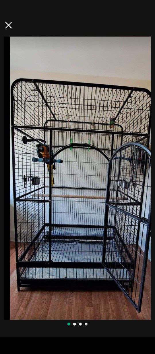 macaw with cage 