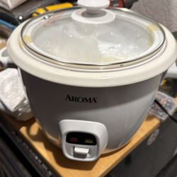 Rice cooker