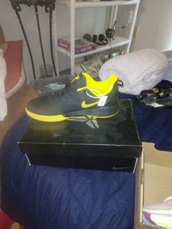 Shoes  Jordan's Aj4zen Master  9.5 Kobe 9.5 Kyrie 10  Nike Sun Club 9.5