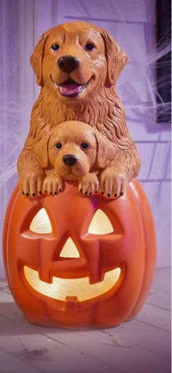 Lifelike golden heavy Halloween Statue!!!