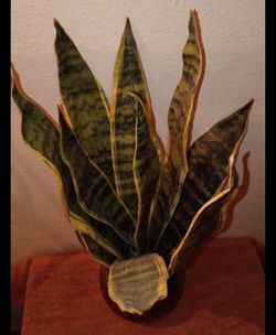23" Tall Fake Plant