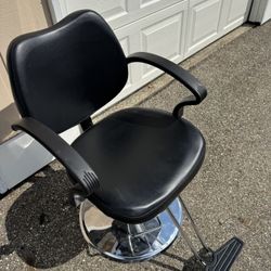 Salon Chair