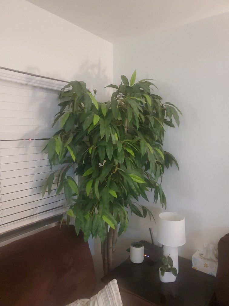 Faux Tree, Artificial Tree, Fake Plant