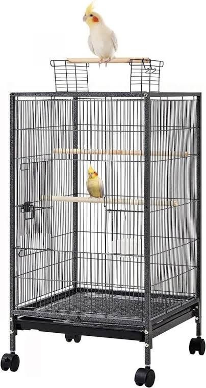Bird Cage And More 