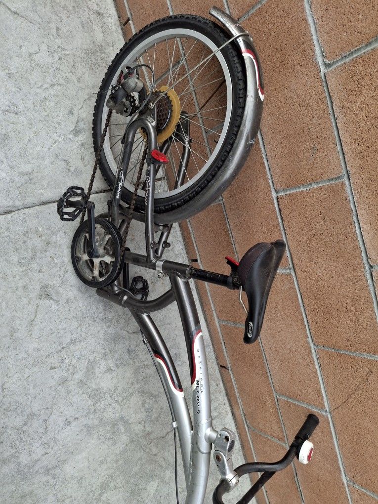 Bicicleta Traila