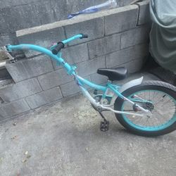 weeride co-pilot bike trailer 20"