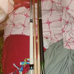 Pool Sticks