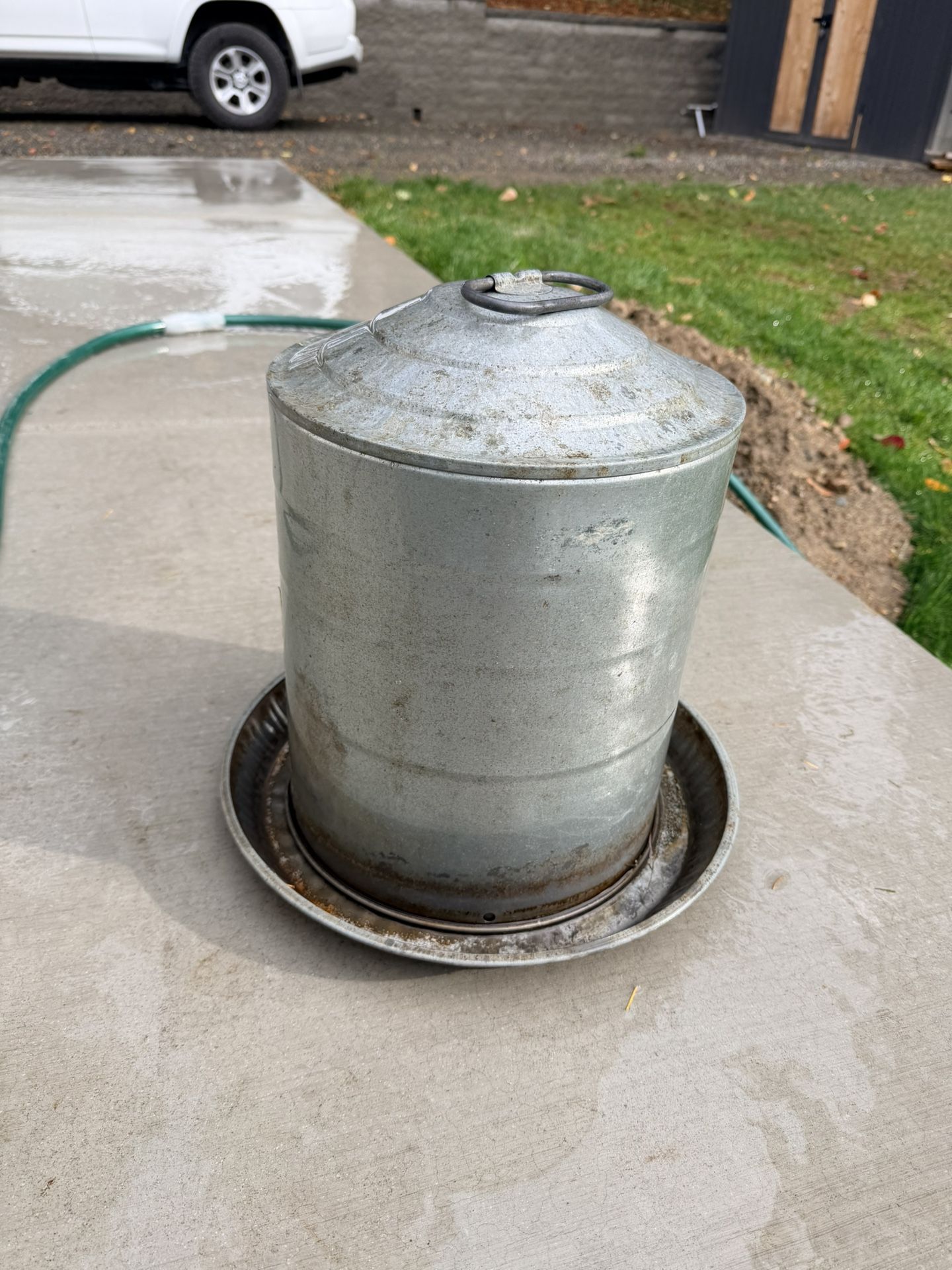 Little Giant Poultry Fount 3 Gallon 