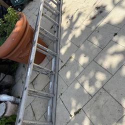16 Ft ladder 