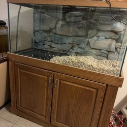 90 Gallon Fish Tank