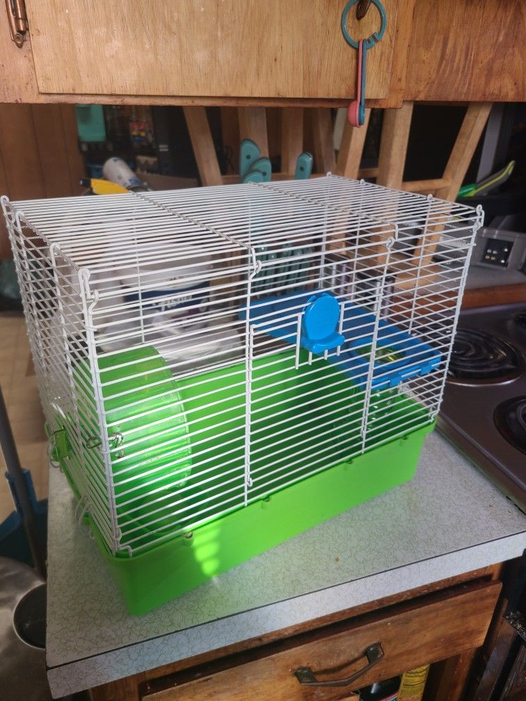 Clean Hamster Cage