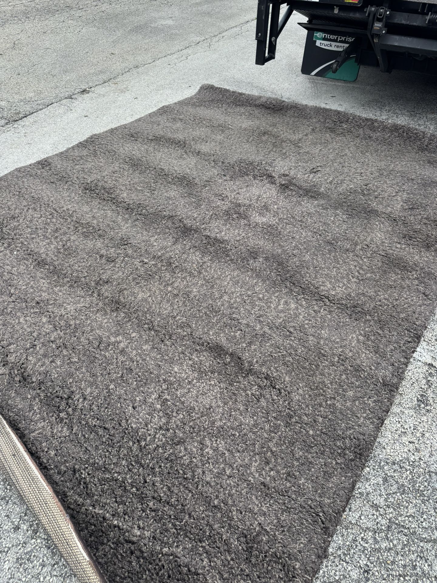 Grayish shag-style Area Rug - 9 x 12