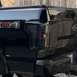 Morimoto Taillights F150 