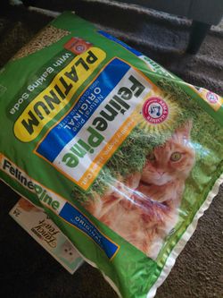 Cat Litter/Food