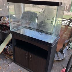 60 Gal Fish Tank With Wood Stand Free Additional Items