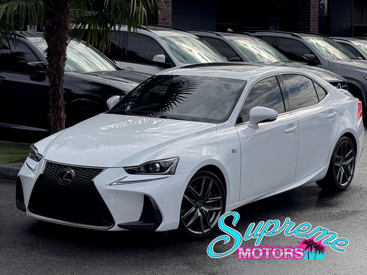 2019 Lexus IS