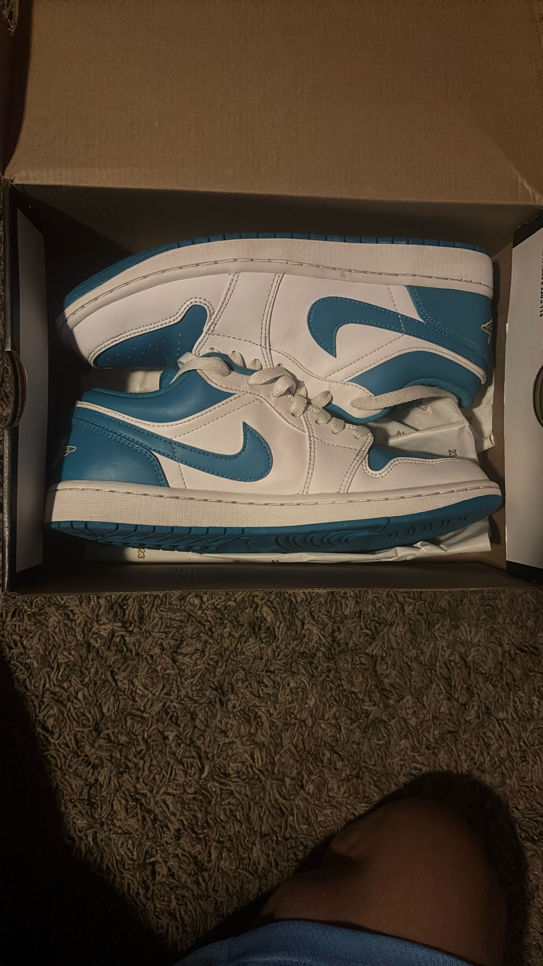 Jordan 1 Low