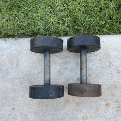 38lb Dumbbells Thick Grip