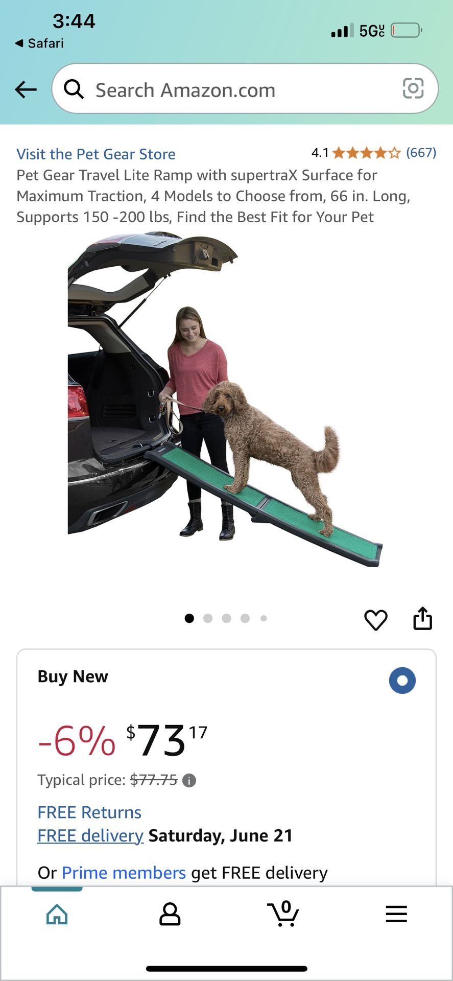 Pet Ramp