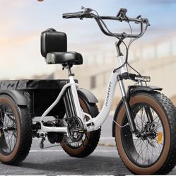 Electric Tricycle (new)