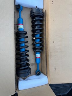 Pair of Blue Coilover Strut Assemblies