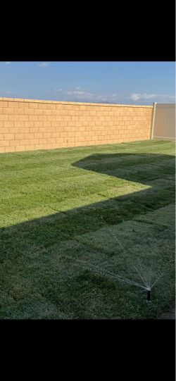 Brand new landscape