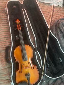 Viola