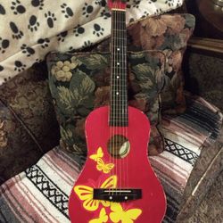 First Act Discovery Acoustic Guitar,  Model FG196, With Butterflies