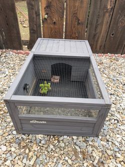 Turtle animal enclosure