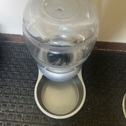 $10 Pet Water Bowl