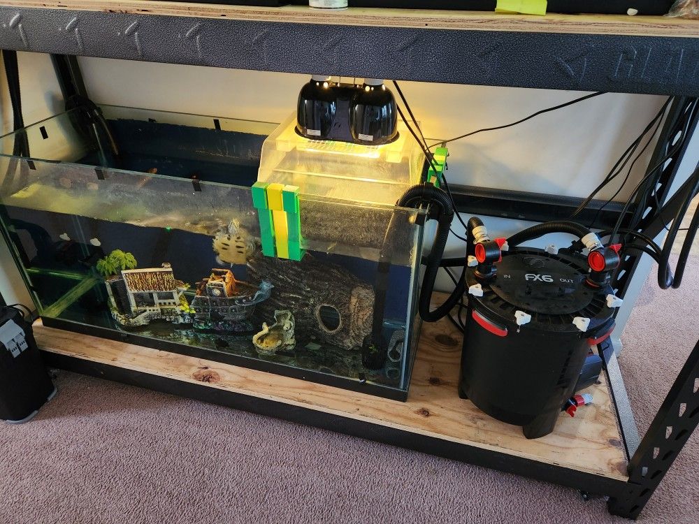 90 Gallon Aquarium, Accessories, and Turtle 🐢 