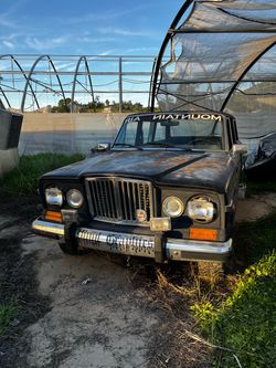 1983 Jeep Wagoneer