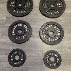 130 lb Weight Plates Set (2×35, 2×25, 2×5) – Used, Some Rust