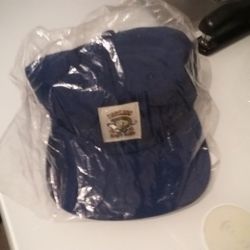 Blue Dickies Hat