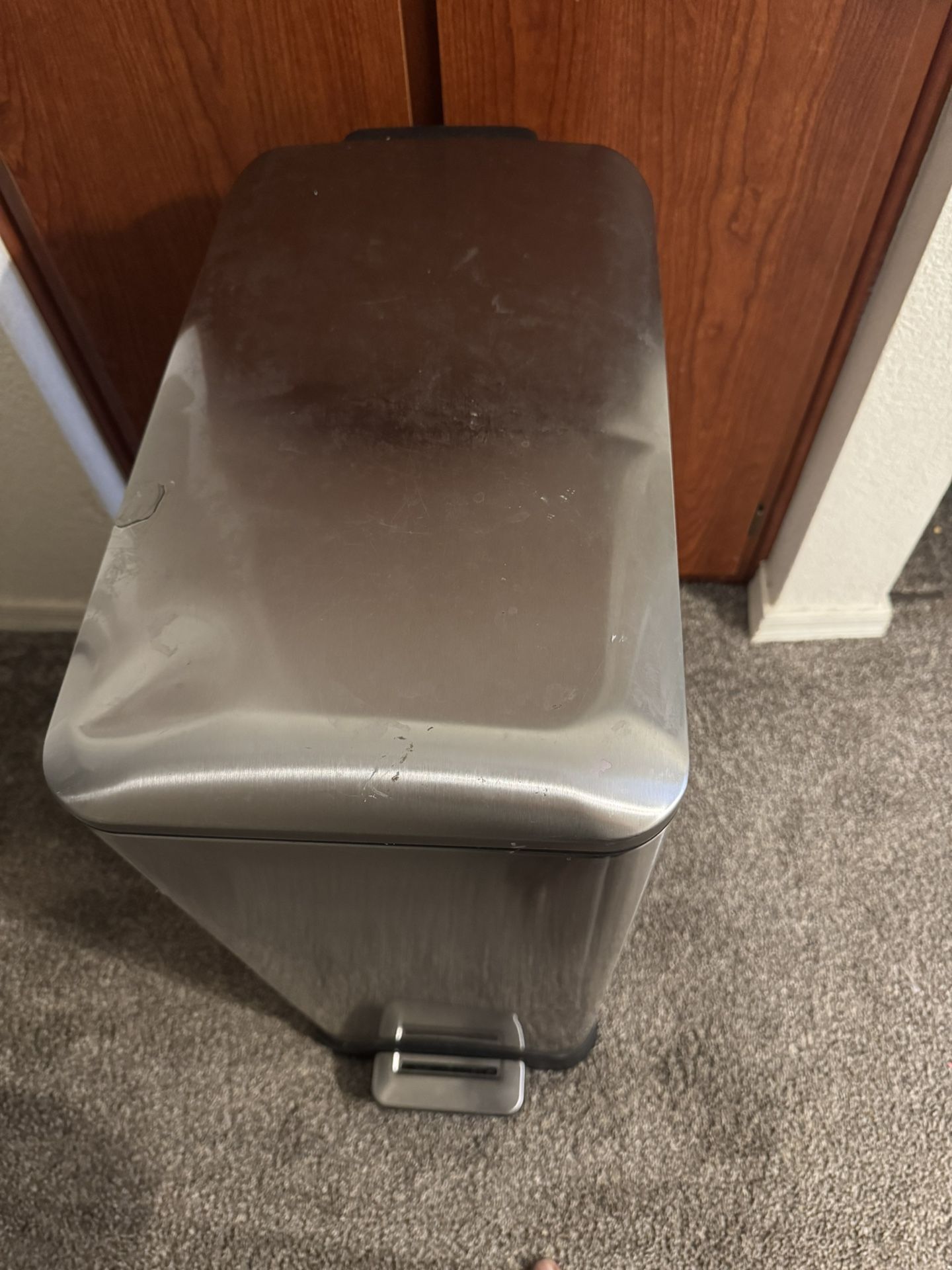 Stainless Steel Dual Trash/Recycling Can /w Foot Pedal