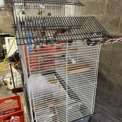 large birdcage