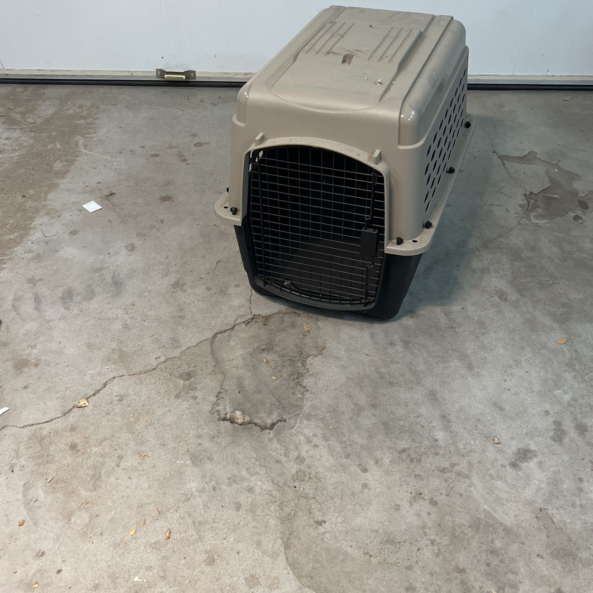 Large Dog Kennel