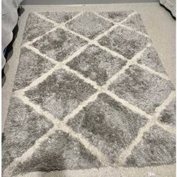 Shaggy Rug (4 X5 )
